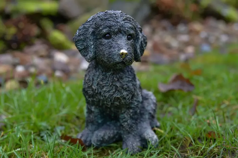 Cockapoo – Bronzeoptik, ca. 19 cm 